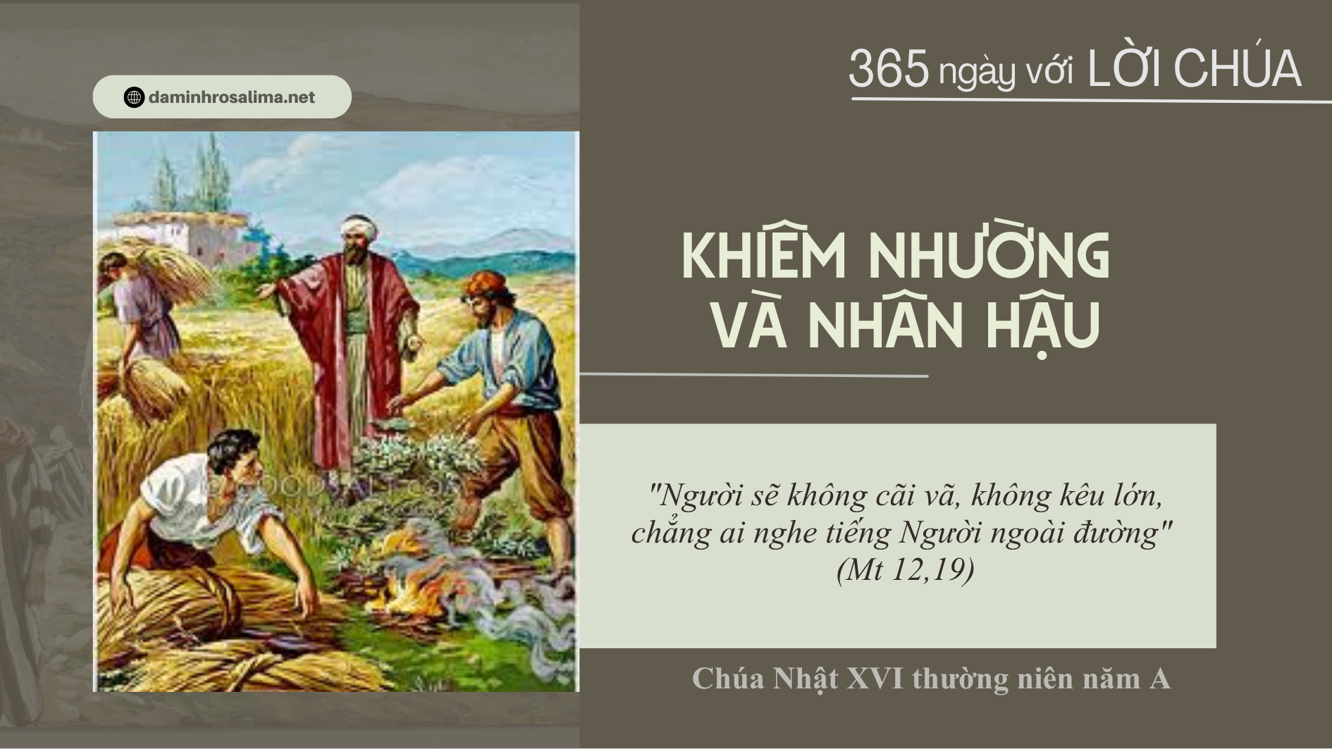 Chúa Nhật XVI thường niên năm A